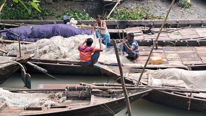 নিষেধাজ্ঞা শেষ চাঁদপুরের পদ্মা-মেঘনায় ইলিশ ধরা শুরু